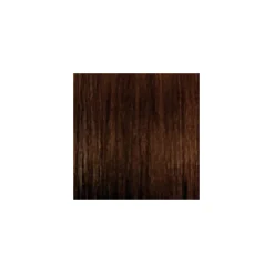 ARGAN OIL Hochentwickelte Haarcoloration Golden Honey Light Brown / Hellbraun Gold 5.3