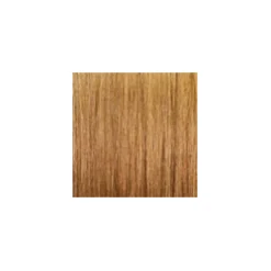 ARGAN OIL Hochentwickelte Haarcoloration Ash Light Blonde / Hellblond Asch 8.1