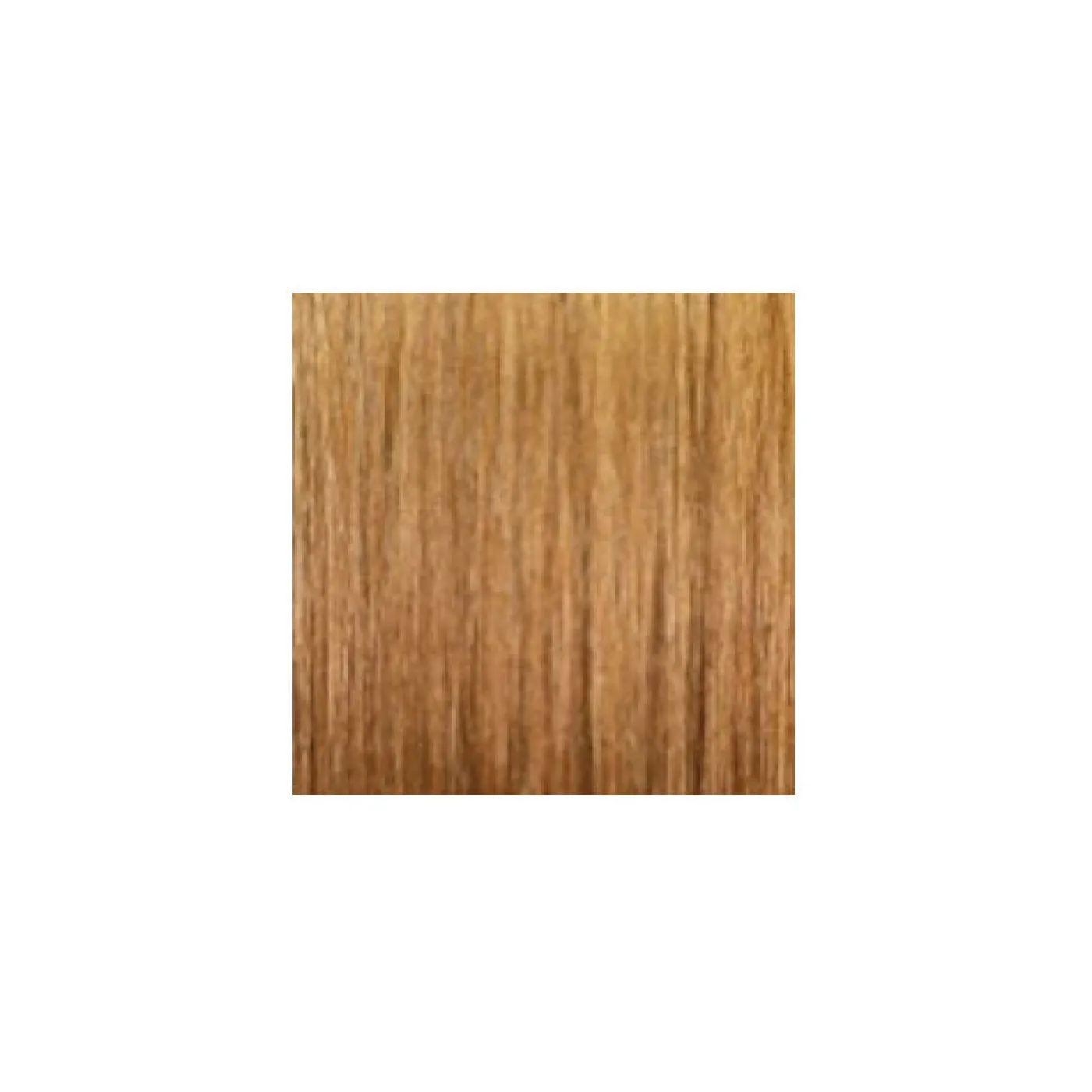 ARGAN OIL Hochentwickelte Haarcoloration Ash Light Blonde / Hellblond Asch 8.1
