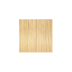 ARGAN OIL Hochentwickelte Haarcoloration Platinum Blonde / Platinblond 10.0