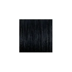 ARGAN OIL Hochentwickelte Haarcoloration Black / Schwarz 1.0