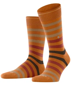 Blackpool Herren Socken