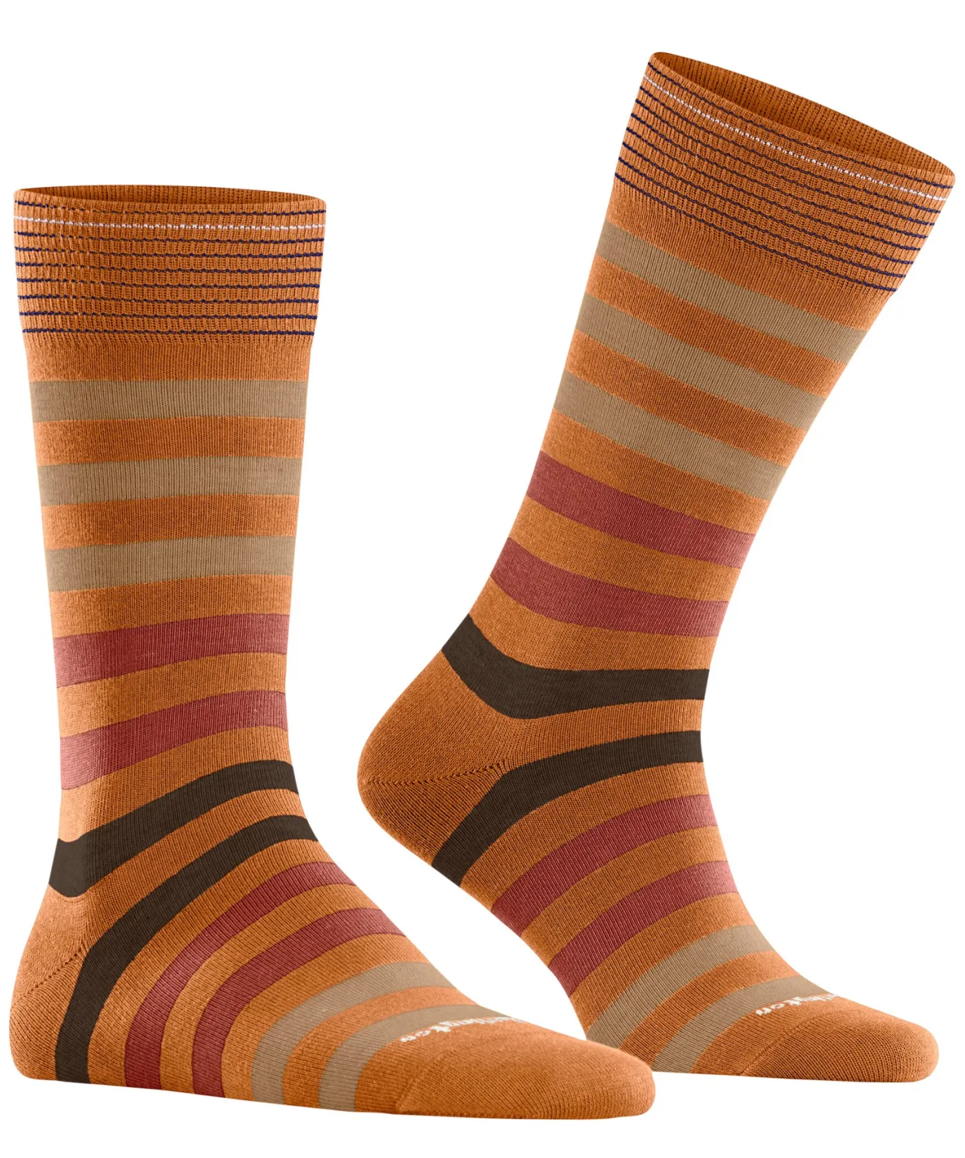Blackpool Herren Socken