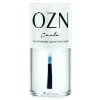 Carla: Quick Top Coat
