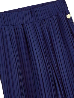 Chiffon Palazzo Hose