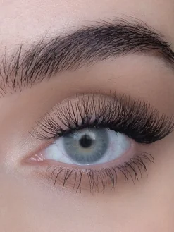 CLUSTER FLAIR LASHES