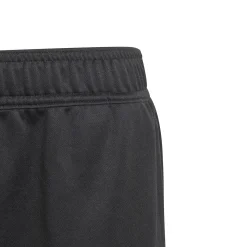 Designed 2 Move Shorts