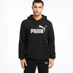 ESS BIG LOGO HOODIE TR