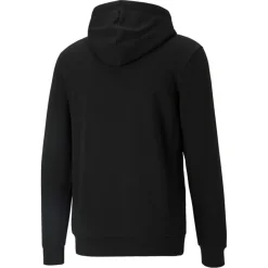 ESS BIG LOGO HOODIE TR