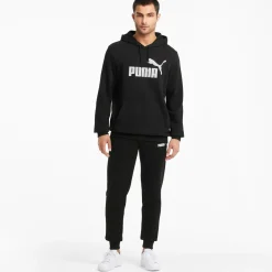 ESS BIG LOGO HOODIE TR
