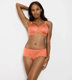Essential Minimizer T W X BH