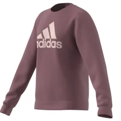 Essentials Big Logo Cotton Sweatshirt