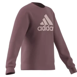 Essentials Big Logo Cotton Sweatshirt