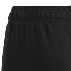Essentials Regular Fit Big Logo Cotton Hose