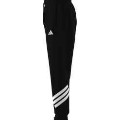Future Icons 3-Streifen Hose