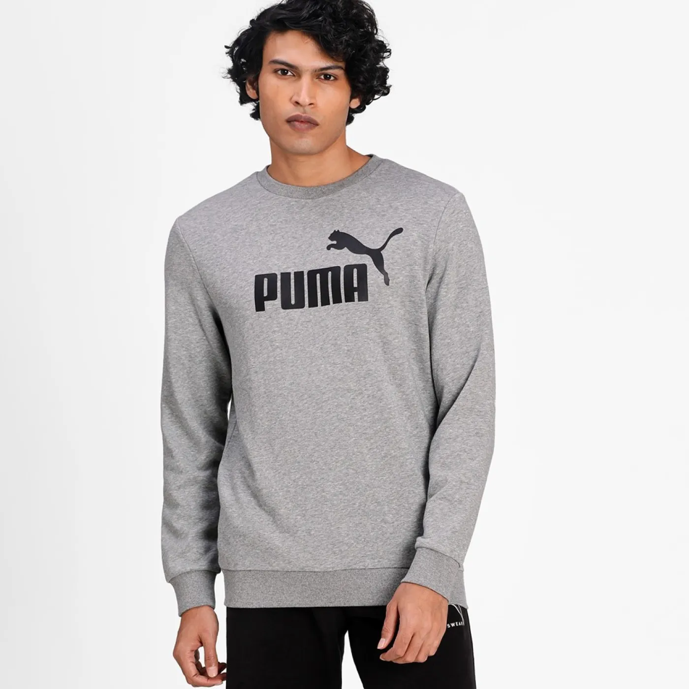 Herren Sweatshirt ESS Big Logo Crew TR