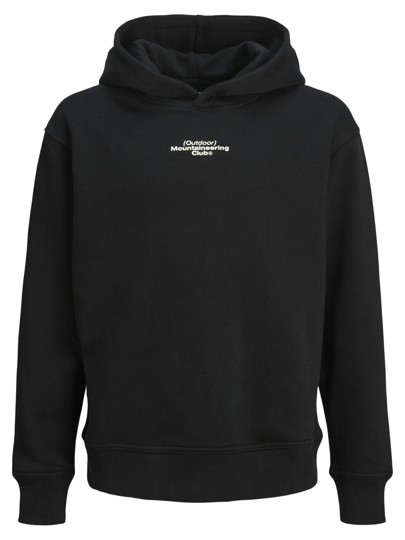Hoodie JCOALPHA MOUNTAIN PRINT