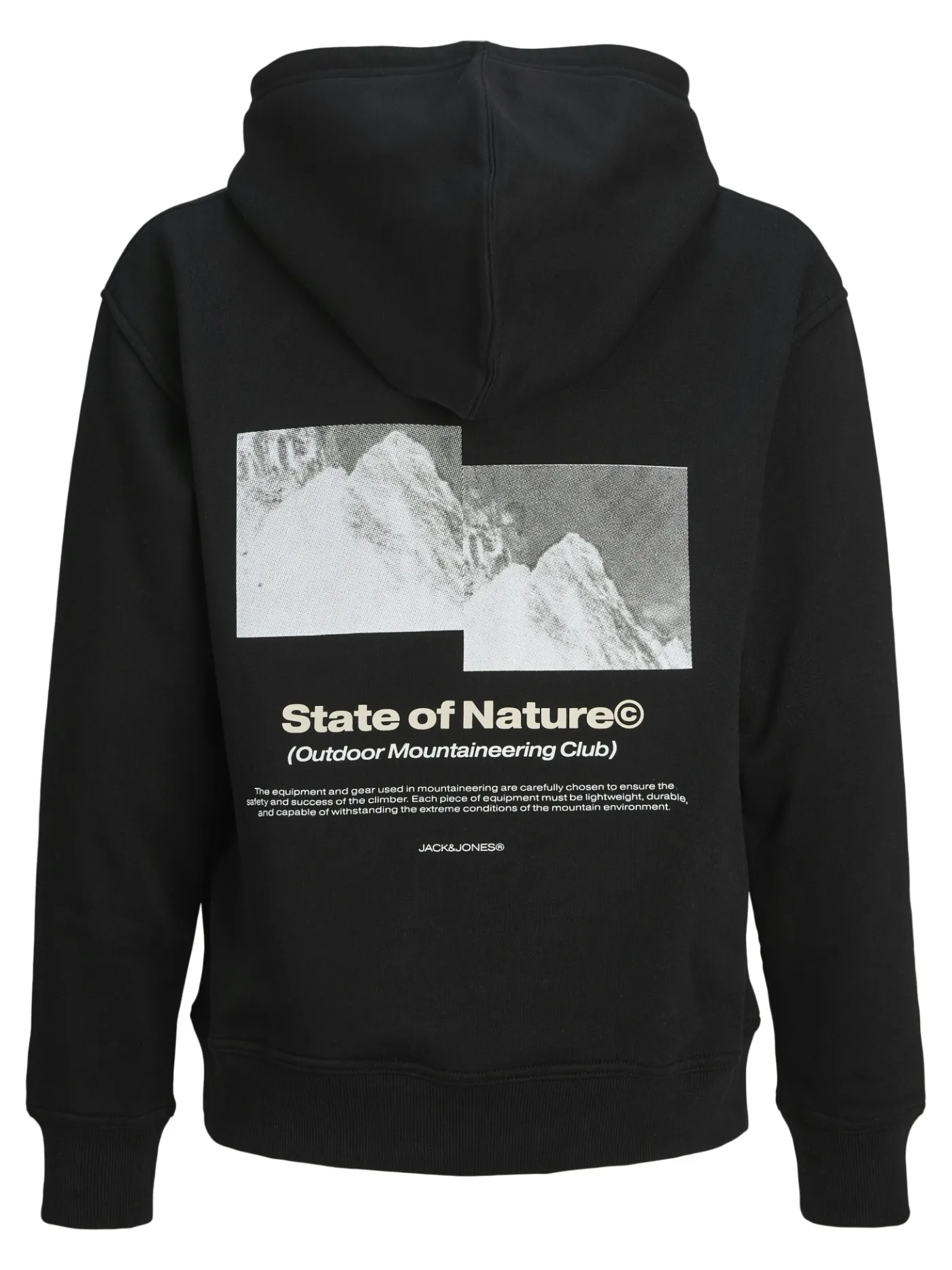 Hoodie JCOALPHA MOUNTAIN PRINT