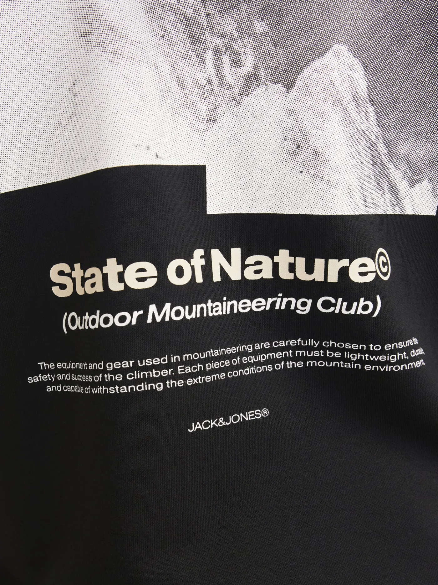 Hoodie JCOALPHA MOUNTAIN PRINT