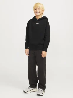 Hoodie JCOALPHA MOUNTAIN PRINT