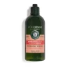 INTENSIV-REPAIR SHAMPOO 300 ML
