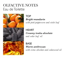 NEON AMBER EAU DE TOILETTE 100ML