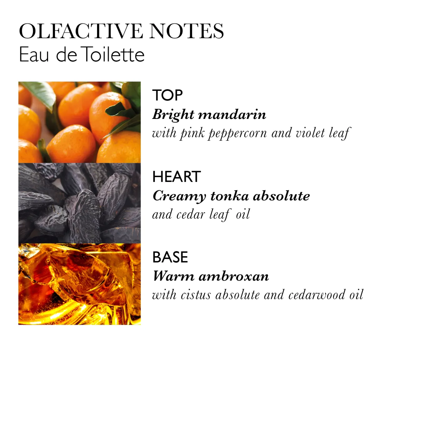 NEON AMBER EAU DE TOILETTE 100ML