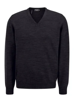 Pullover V-Ausschnitt 1/1 Arm