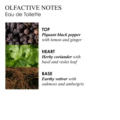 RE-CHARGE BLACK PEPPER EAU DE TOILETTE 100ML