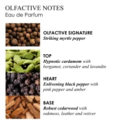 RE-CHARGE BLACK PEPPER EAU DE PARFUM 100ML