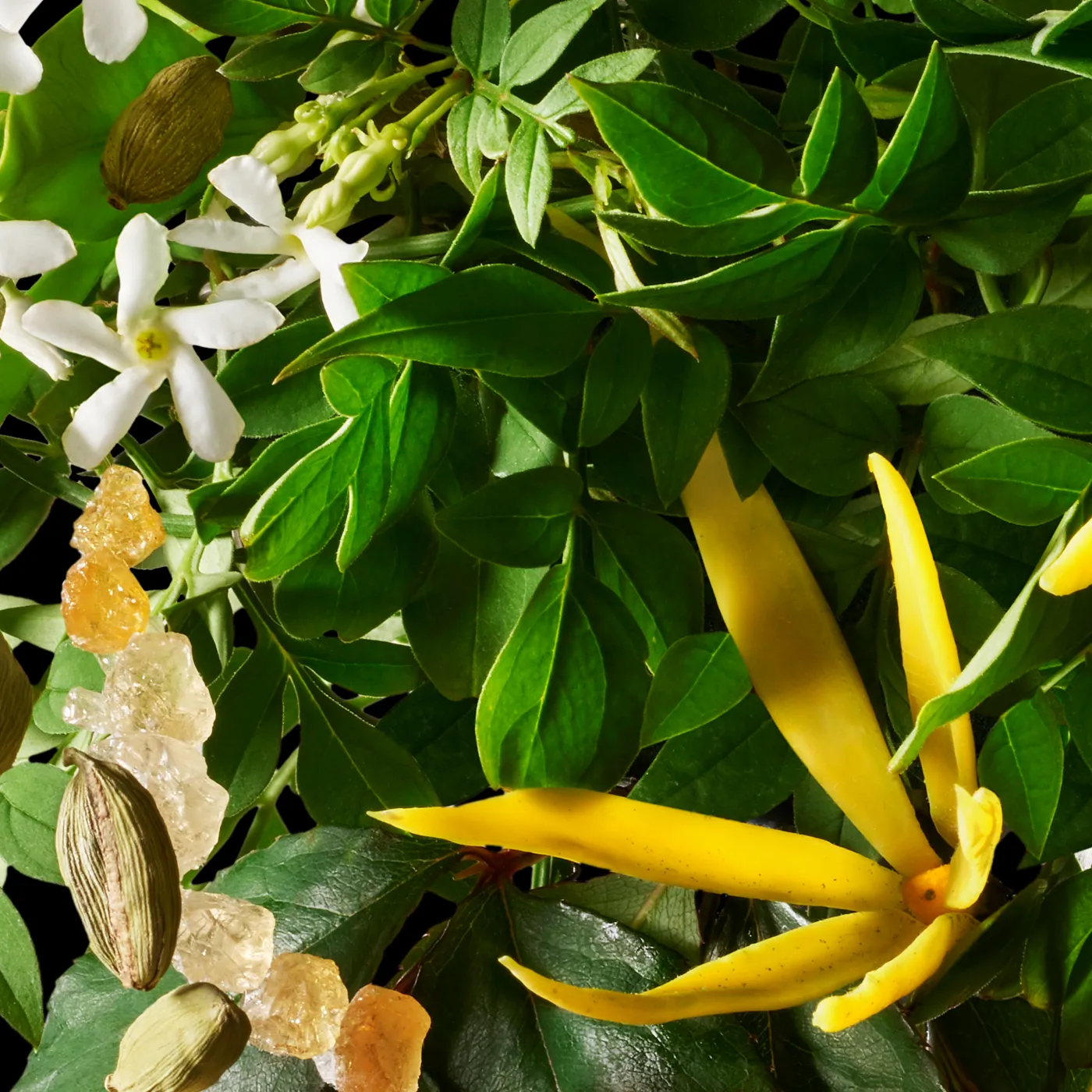 RELAXING YLANG-YLANG BODY LOTION