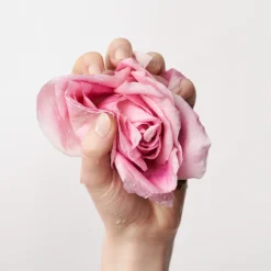 ROSE NATURE OIL-TO-MILK CLEANSER
