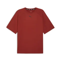STUDIO FOUNDATION Shorts