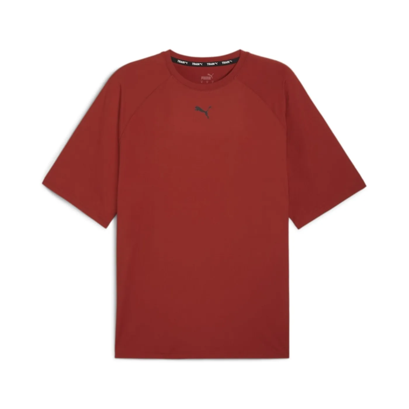 STUDIO FOUNDATION Shorts