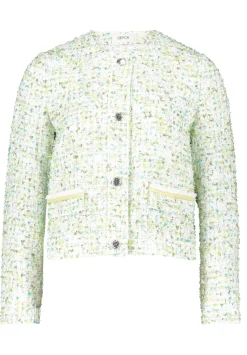 Tweedblazer